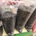 青海黑枸杞500克包邮中颗粒黑枸杞无添加健康食材