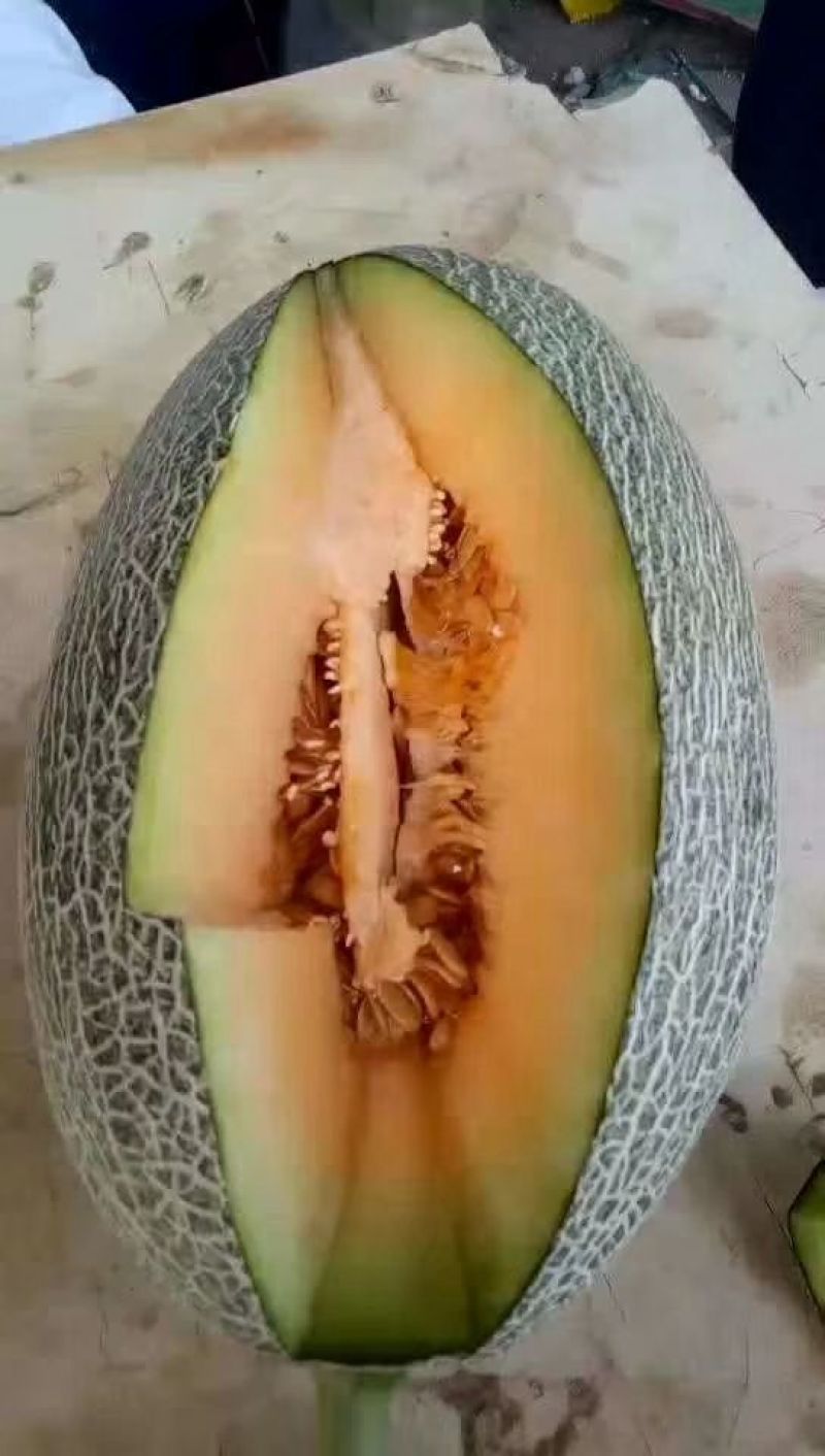 西洲密