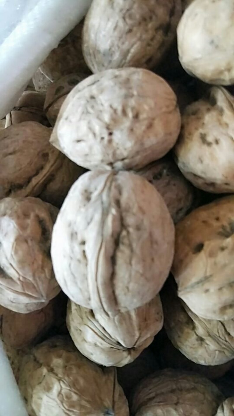 原生态新疆核桃