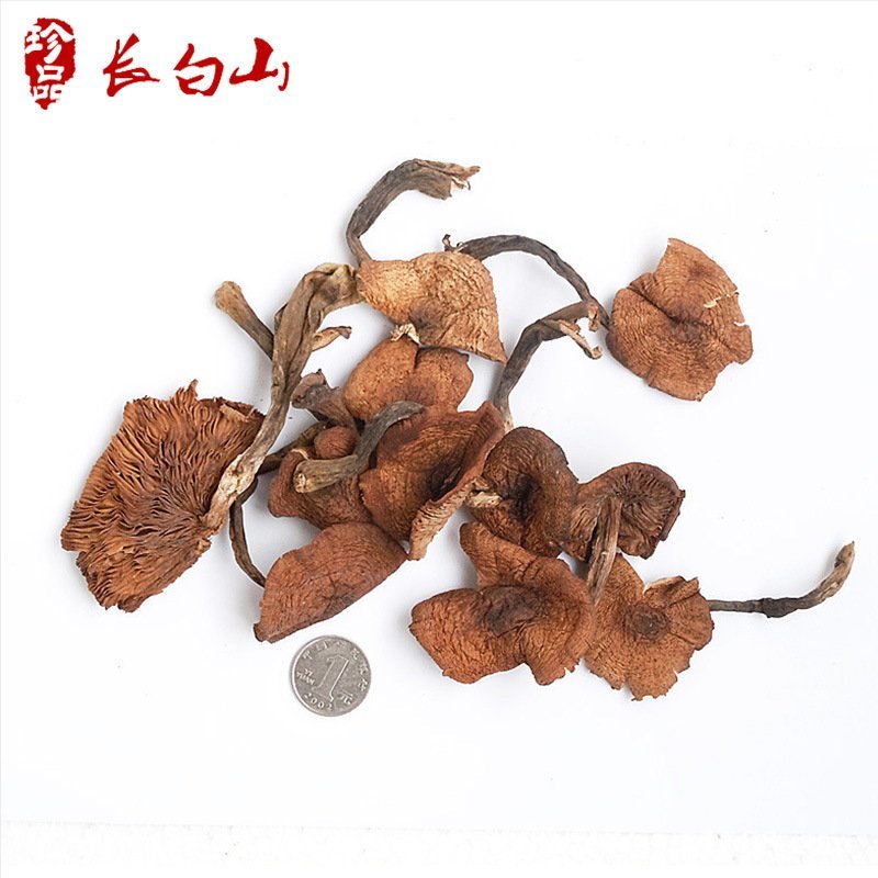 东北榛蘑包邮长白山榛蘑东北土特产