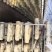 兰州食用菌大棚:蔬菜大棚安装养殖大棚建设温室棚