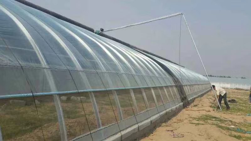 温室育苗大棚食用菌套棚连栋简易棚蔬菜大棚厂