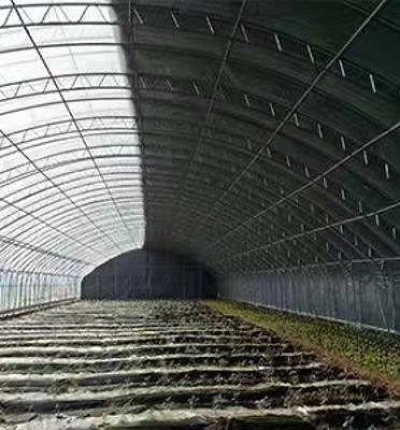信阳光山蔬菜大棚造价{食用菌大棚安装}养殖连栋大棚》