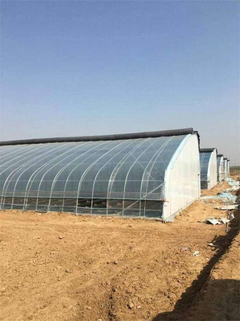 【蔬菜大棚温室大棚】养殖大棚【连栋大棚食用菌棚