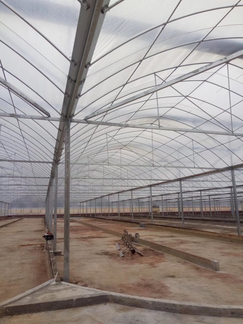 【蔬菜大棚温室大棚】养殖大棚【连栋大棚食用菌棚