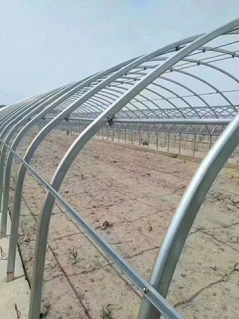 【蔬菜大棚温室大棚】养殖大棚【连栋大棚食用菌棚
