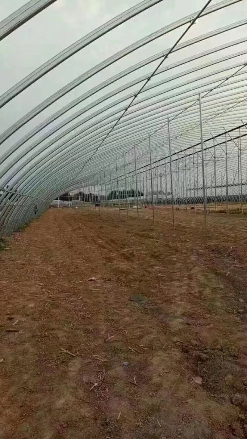 【蔬菜大棚温室大棚】养殖大棚【连栋大棚食用菌棚