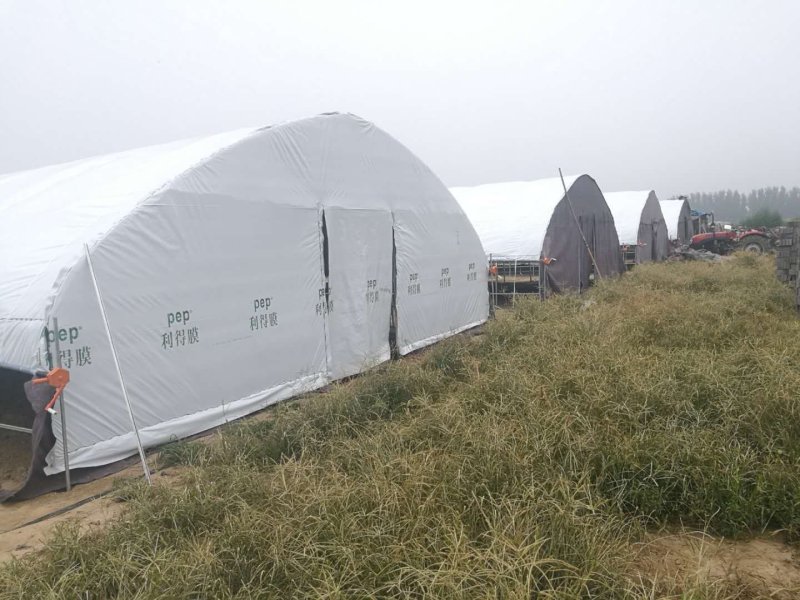 山西连栋大棚造价温室大棚蔬菜大棚食用菌大棚