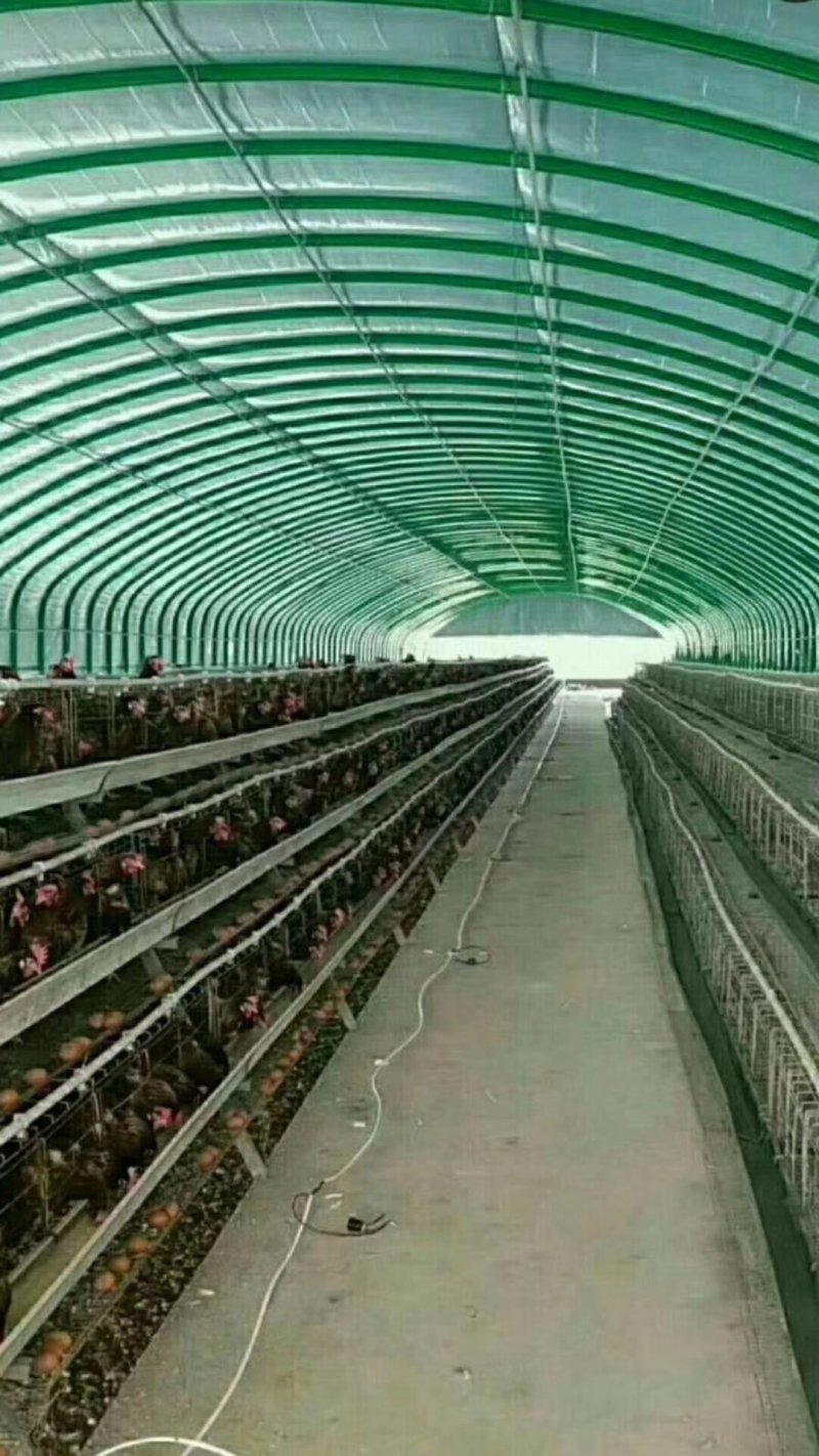 山西连栋大棚造价温室大棚蔬菜大棚食用菌大棚
