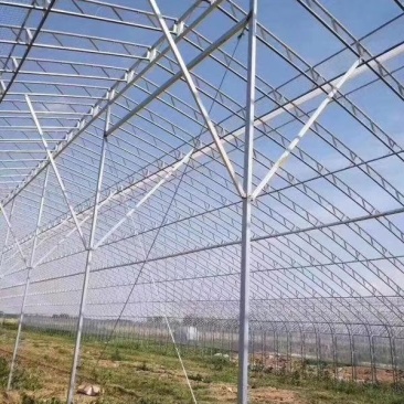 延安香菇套棚大棚连栋大棚温室大棚#蔬菜大棚养殖大棚