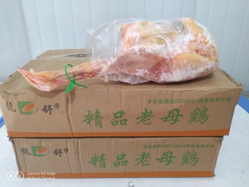 大别山老母鸡