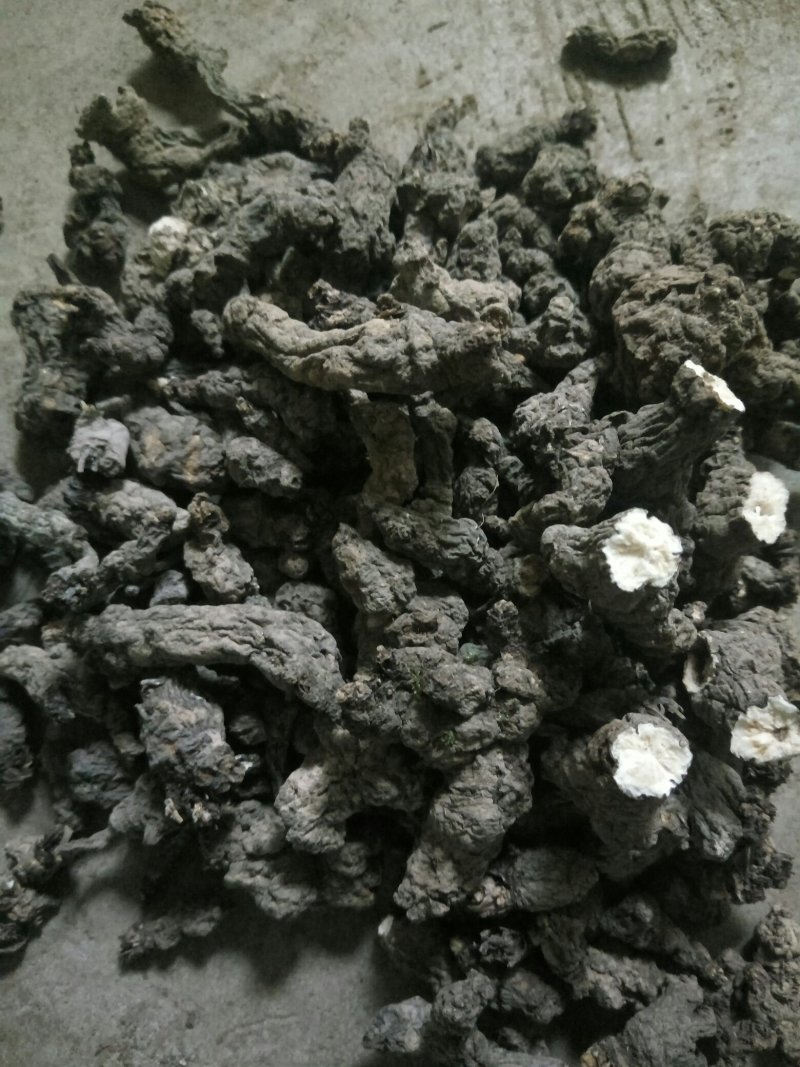 天葵子老鼠屎新货—烘干水洗过筛挑选精品上市啦