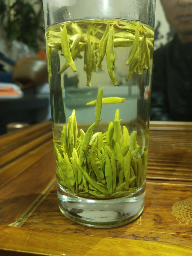 汉中仙毫(精选)清明前初茶