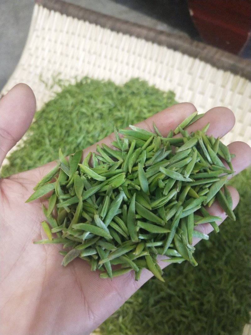 汉中仙毫(精选)清明前初茶