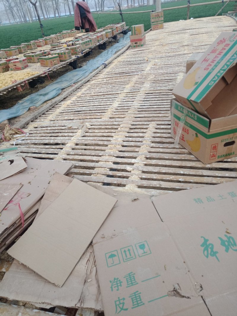 河南变蛋双黄蛋五香变蛋