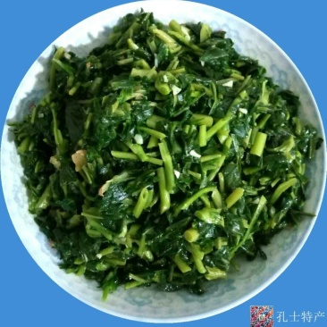 农家野生现摘苦菜苦斋婆酱败草新鲜野菜苦丁菜苦益菜