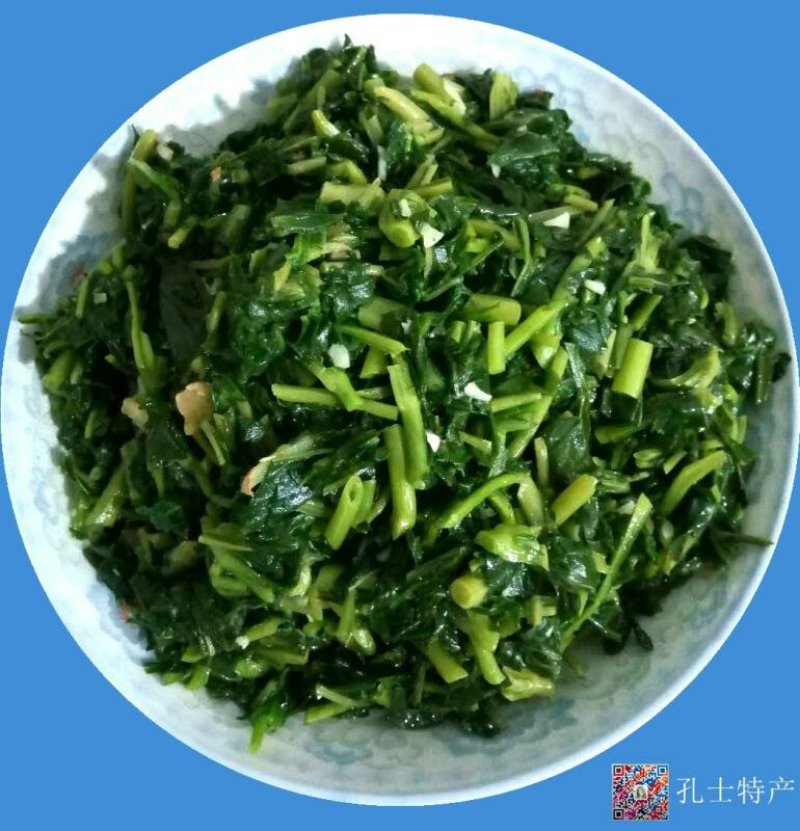 农家野生现摘苦菜苦斋婆酱败草新鲜野菜苦丁菜苦益菜