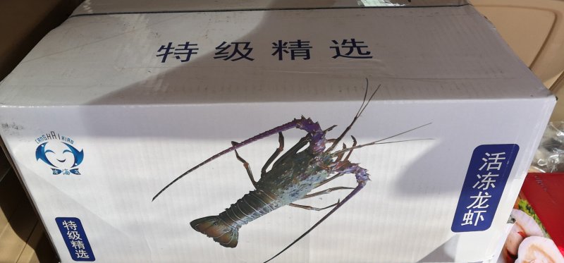 小青龙