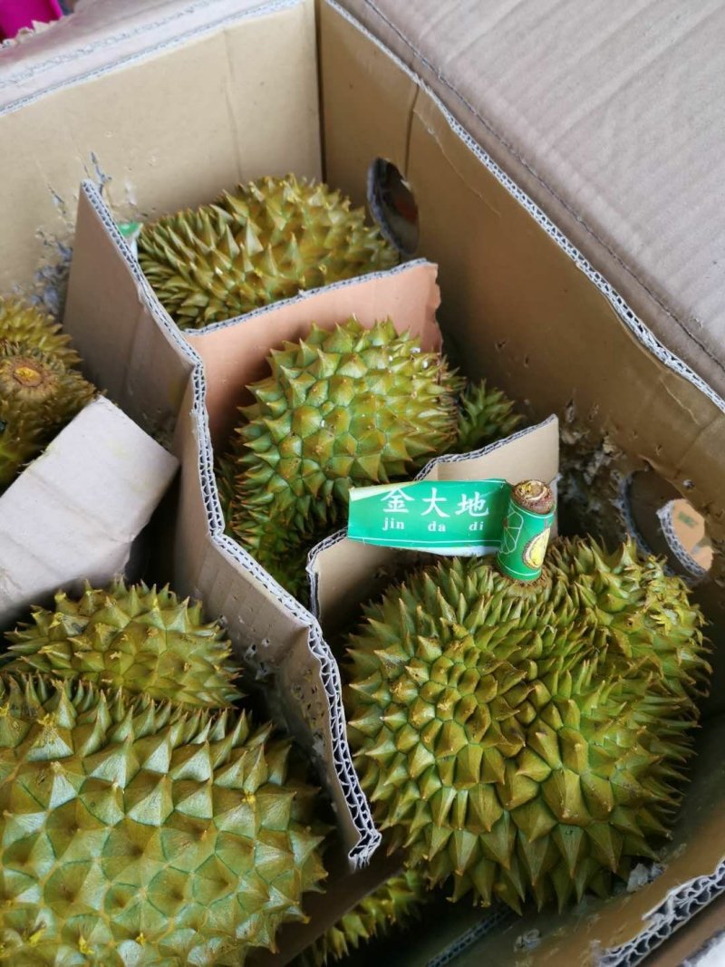 榴莲