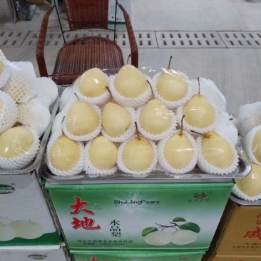鸭梨
