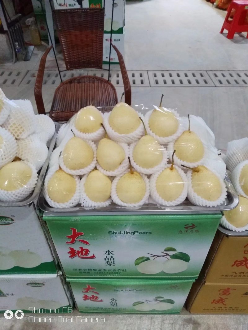 鸭梨