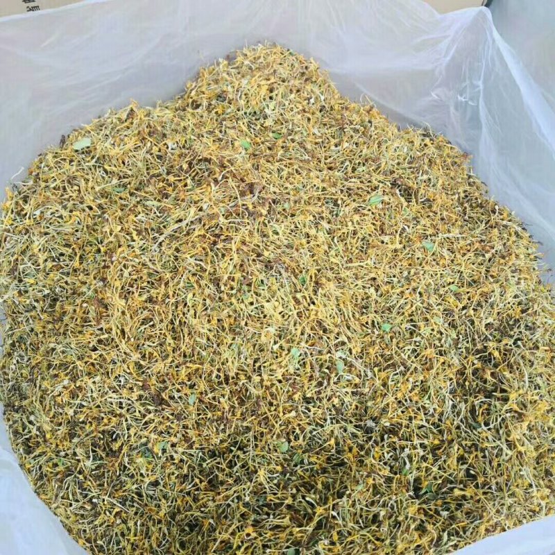云南野生金银花
