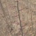 皂角大量现货供应可以实地考察