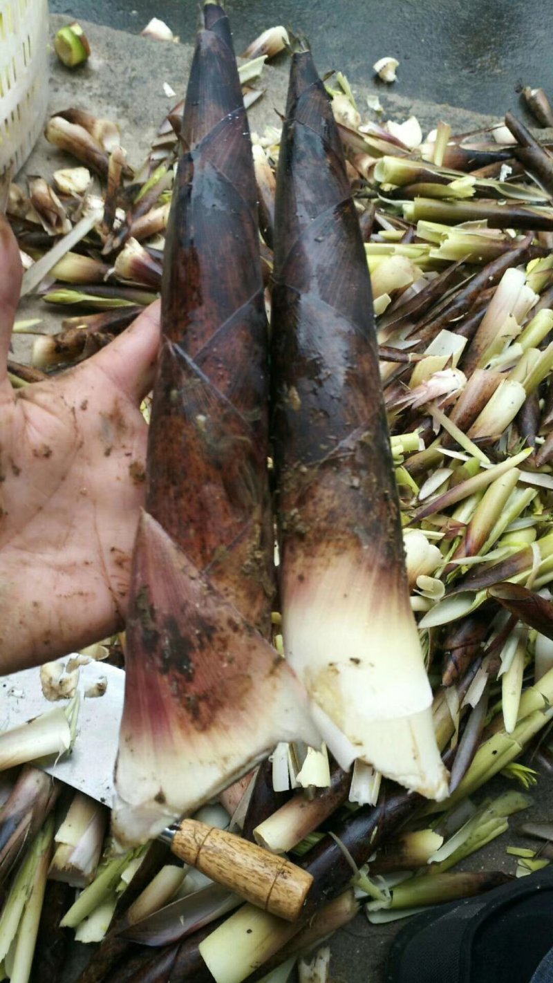 绩溪山珍，燕笋干
