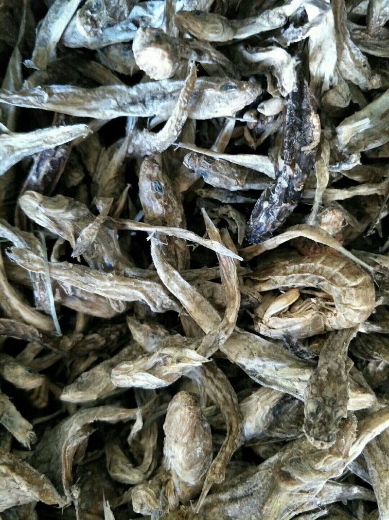 本公司销售鱼粉进口鱼粉鱼干各种饲料应有尽有