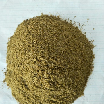 鱼粉