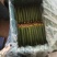 精品密刺鲜花黄瓜，顶花带刺，货源充足，品质保证，价格低廉