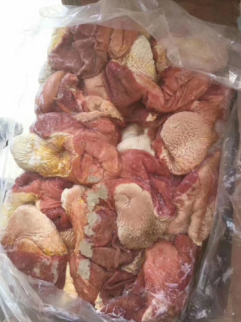 鲜冻驴肉