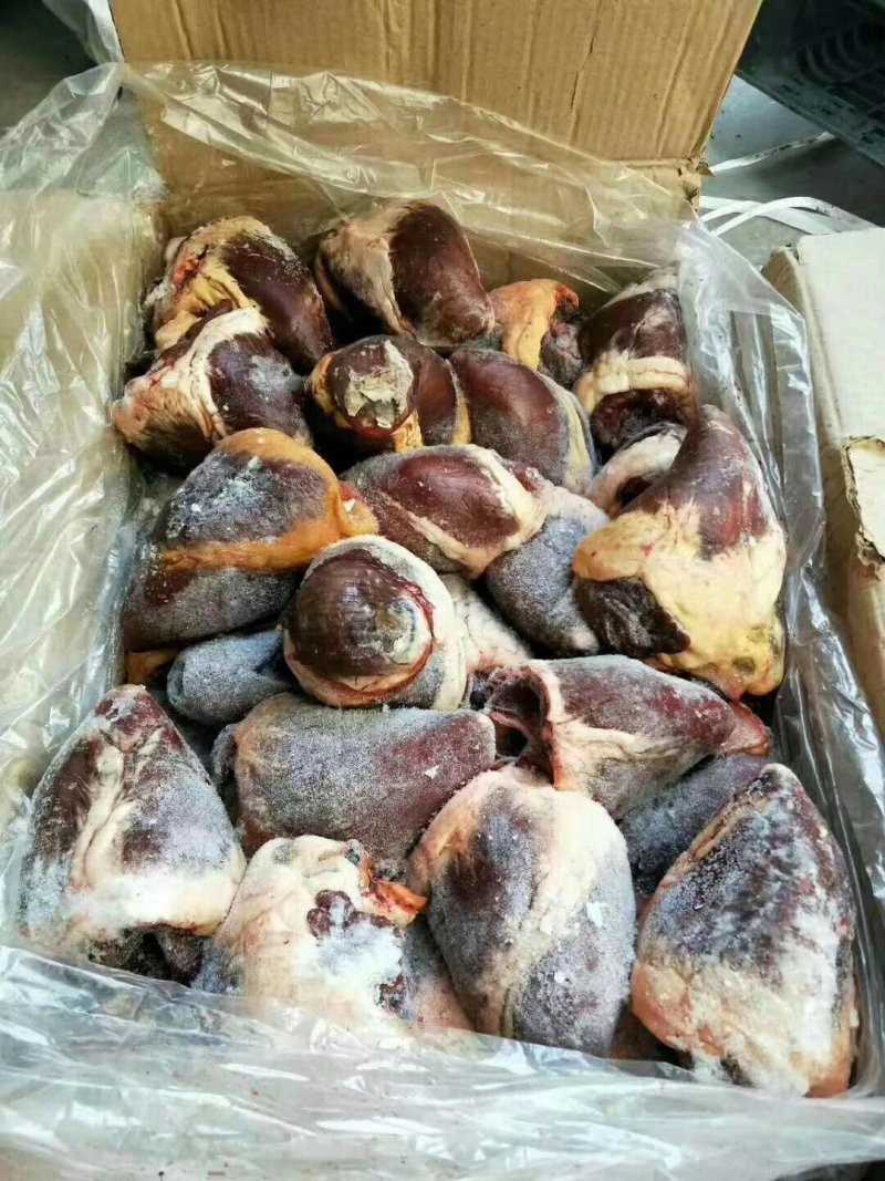 鲜冻驴肉