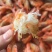 虾干
