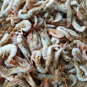 虾米