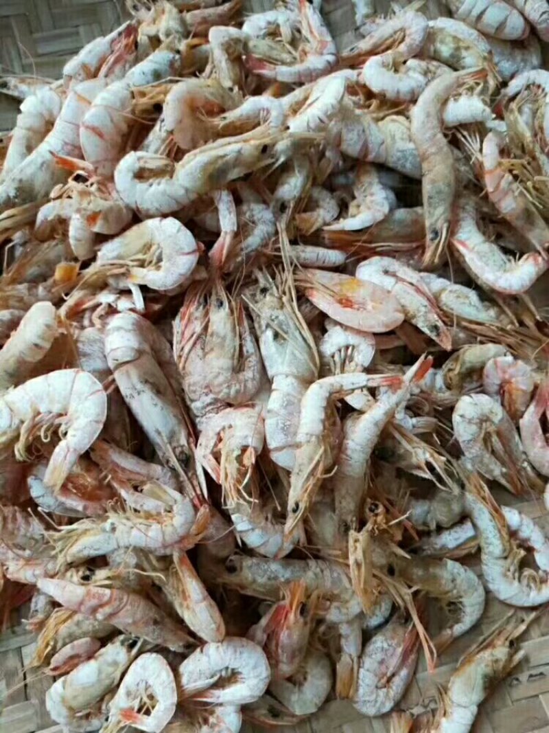 虾米