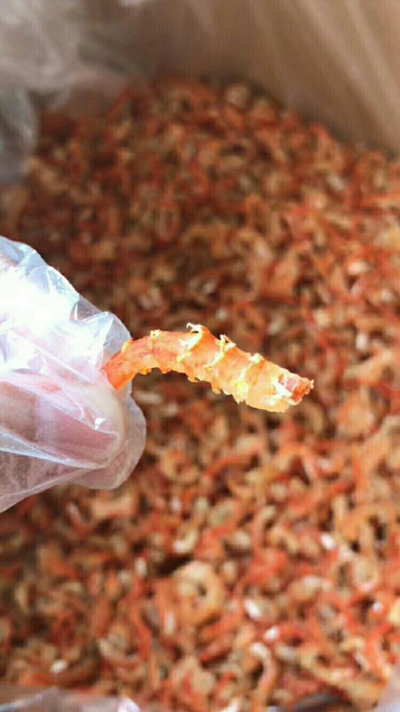 虾米