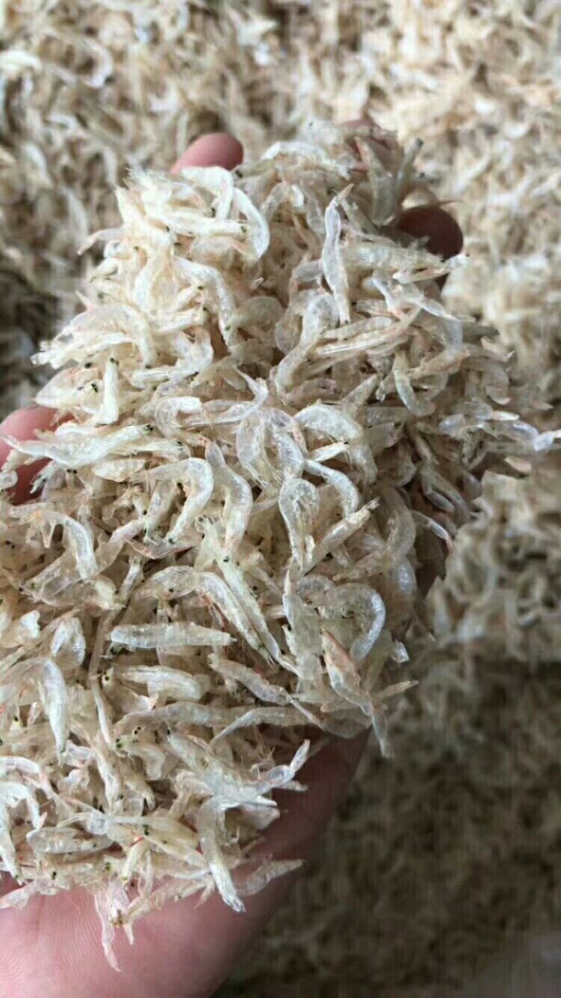 虾皮