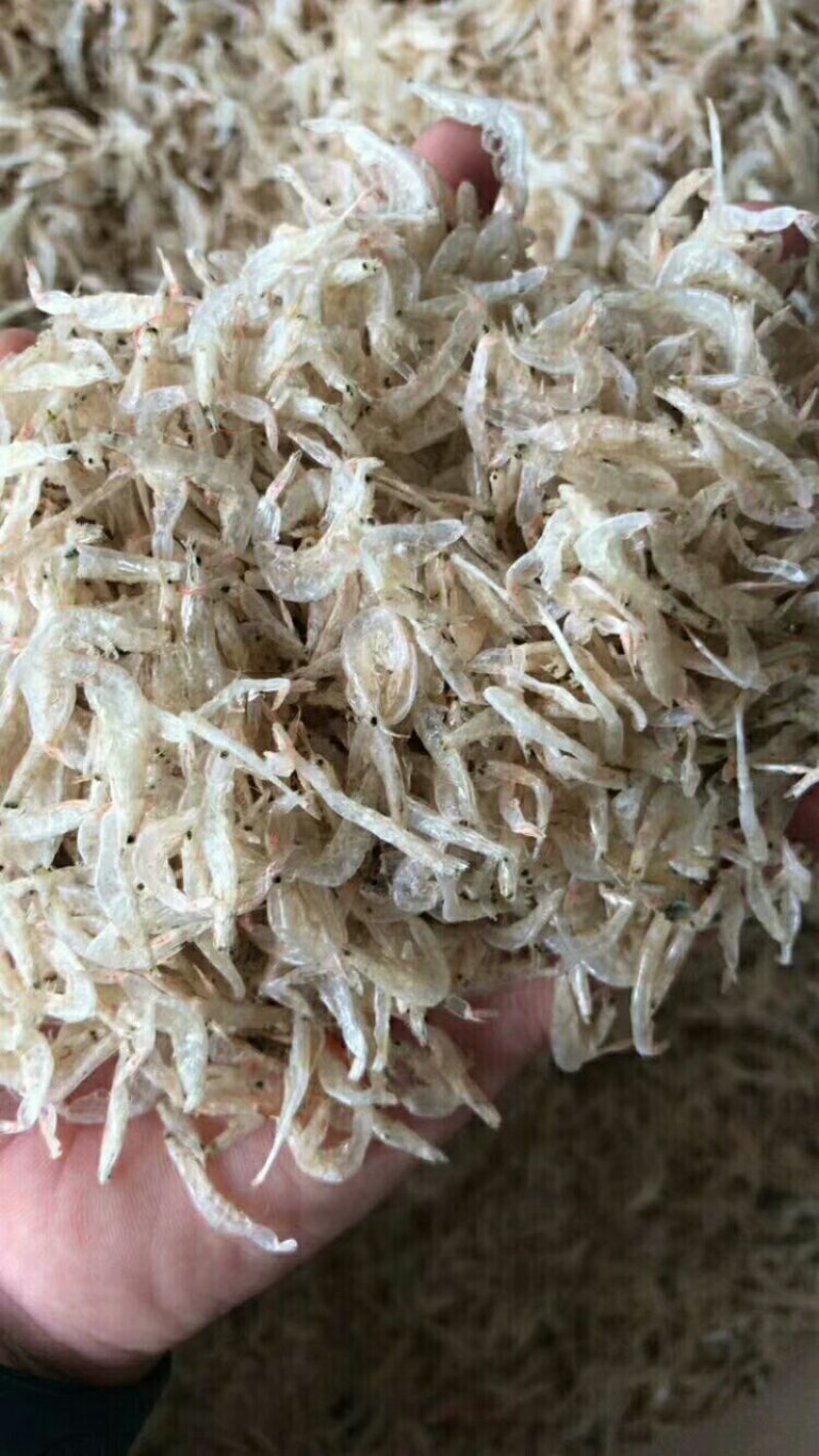虾皮