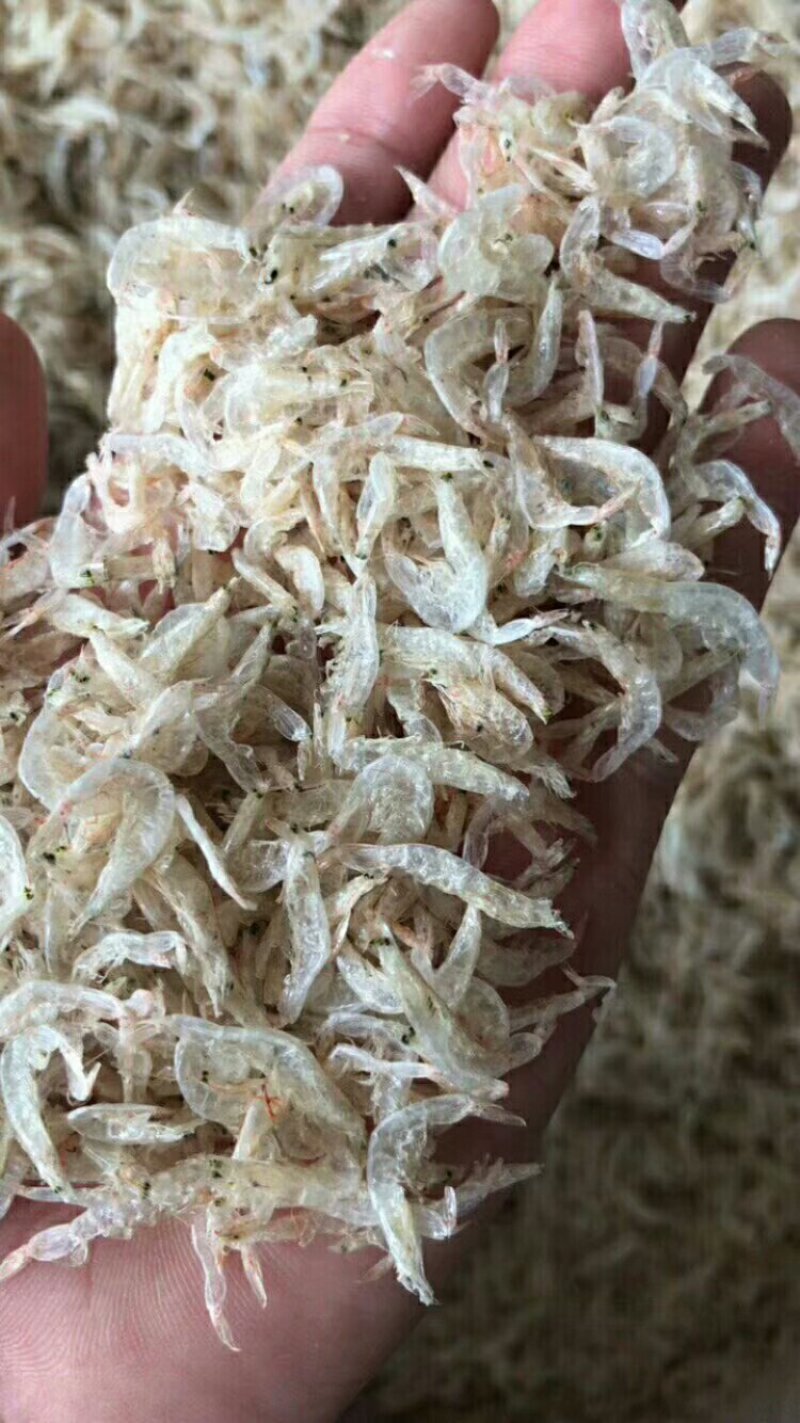 虾皮