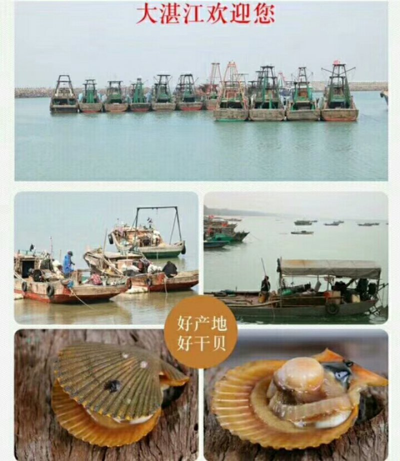 红干贝