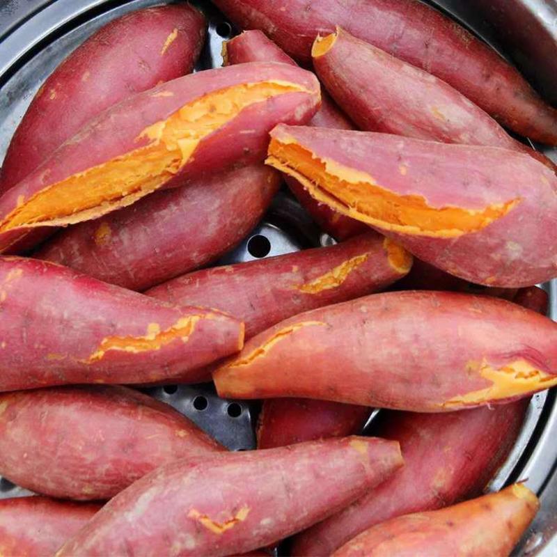 红番薯新鲜紫番薯地瓜10斤35.8元包邮一件代发招代理