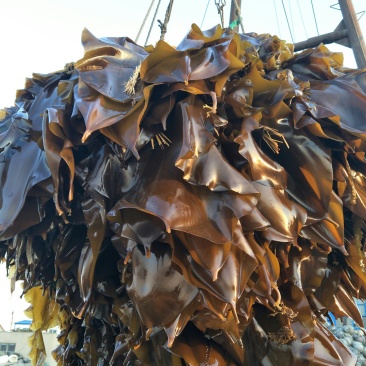 老话说，一分价钱一分货，3毛5不讲价