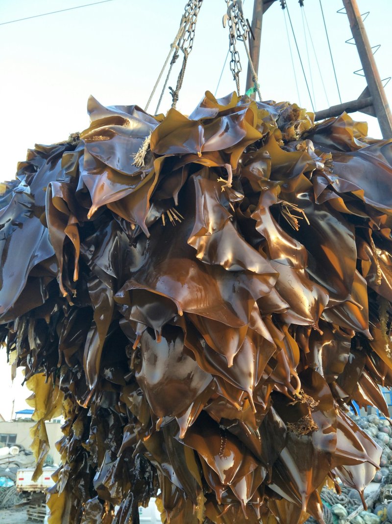 老话说，一分价钱一分货，3毛5不讲价