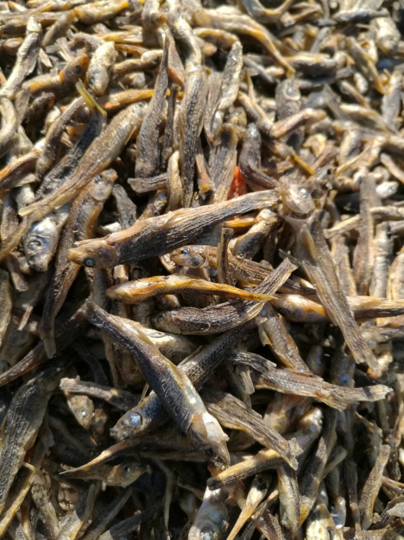 淡水小鱼干5厘米左右，淡盐水煮干水质非常好，