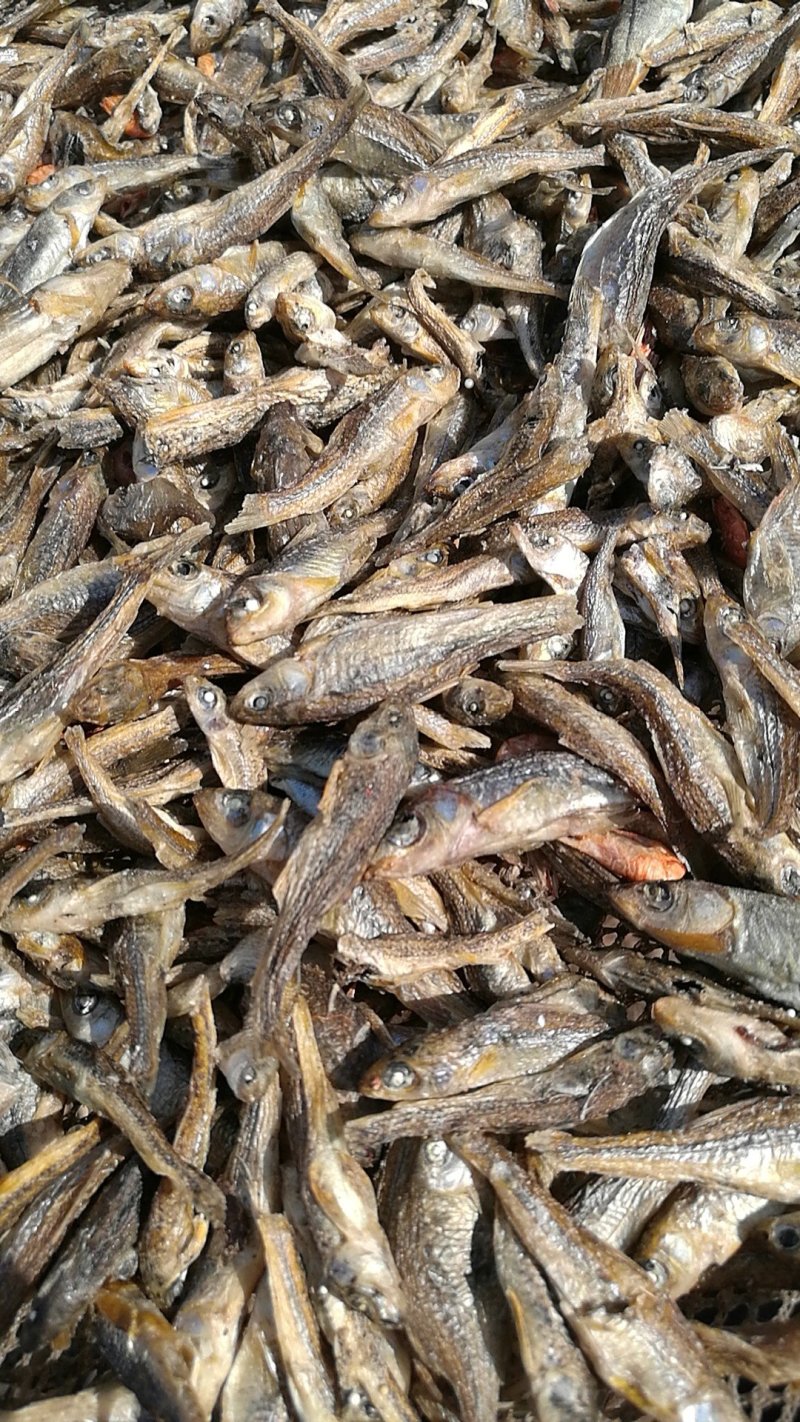 淡水小鱼干5厘米左右，淡盐水煮干水质非常好，
