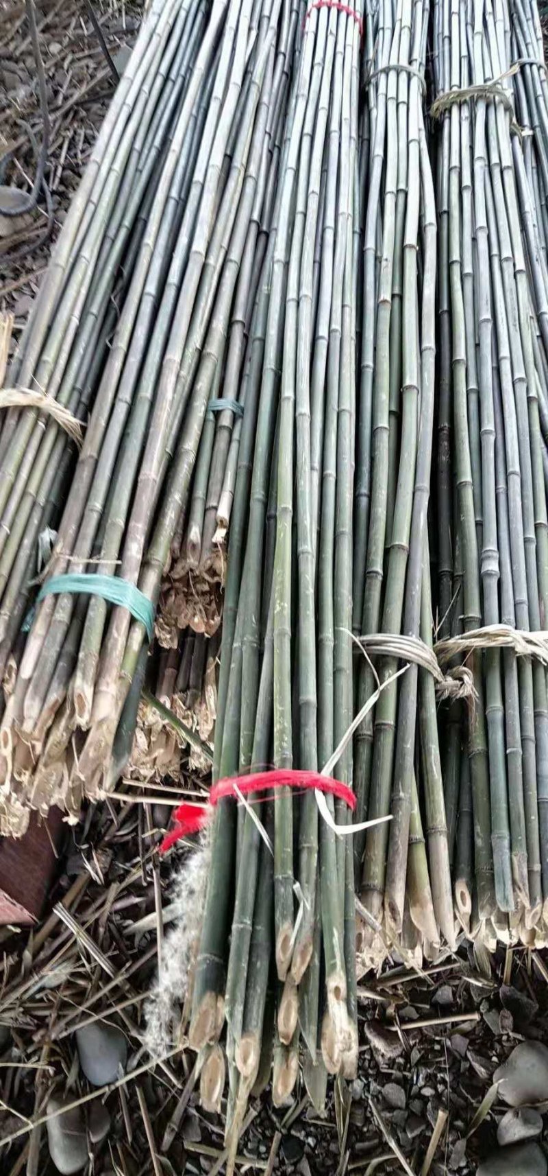 竹竿竹片