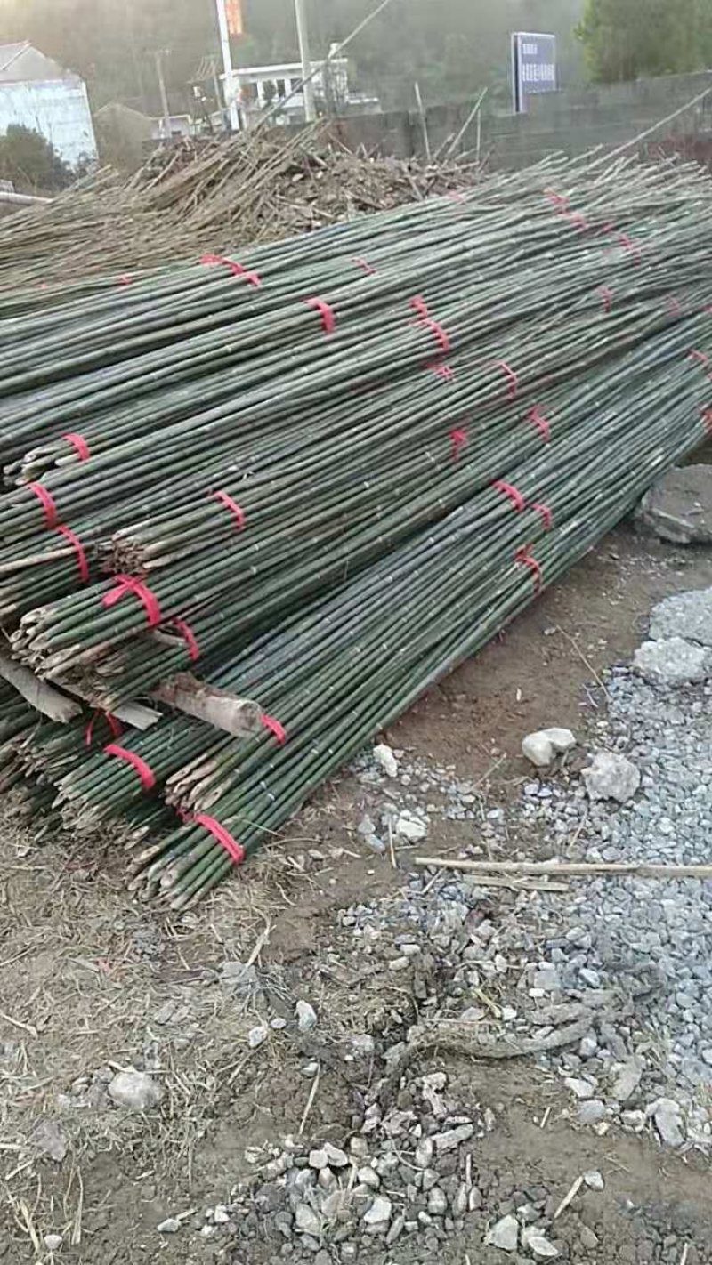 竹竿竹片