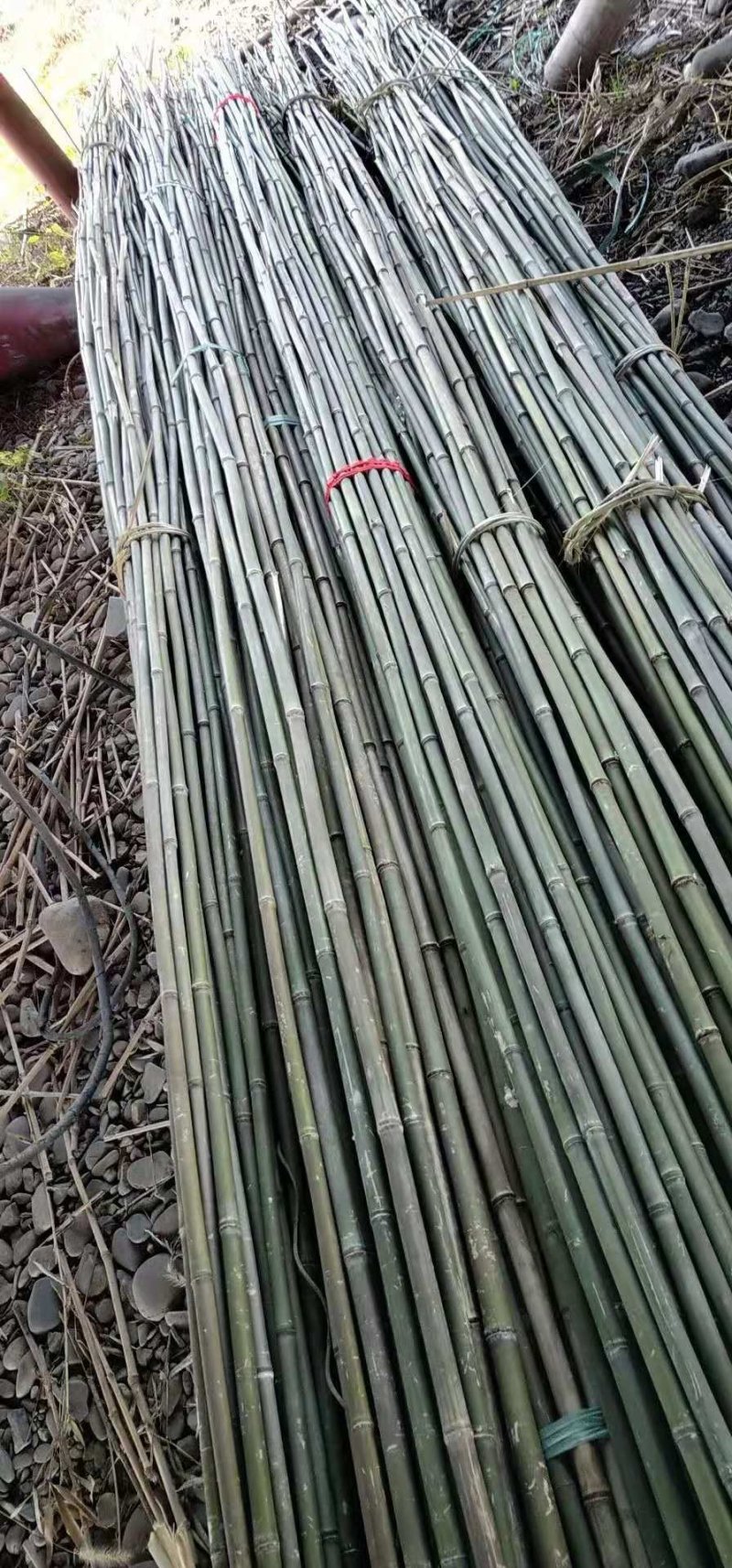 竹竿竹片