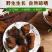桦树茸
